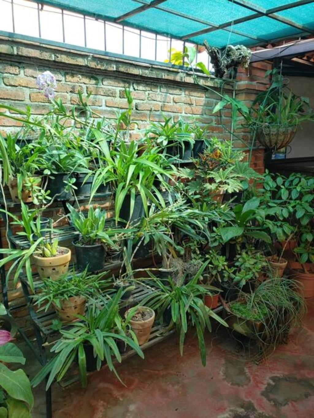 Enjoy Ac In The Penthouse At Inn Ajijic Extérieur photo